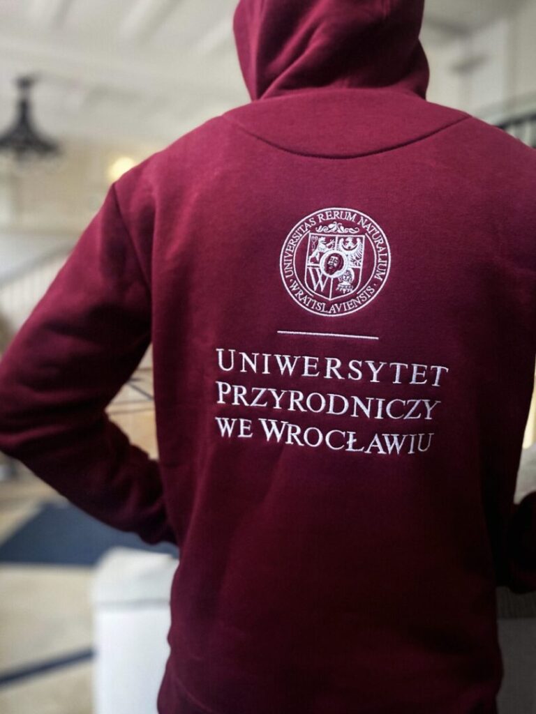Bluza z kapturem UPWr – tył