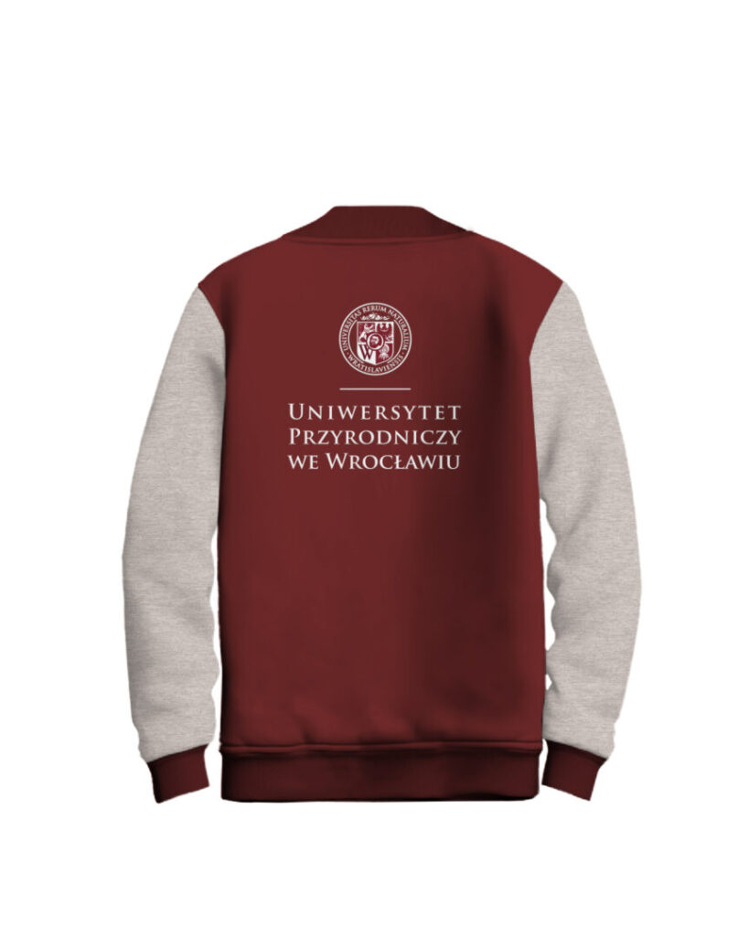 Bluza baseball UPWr – tył