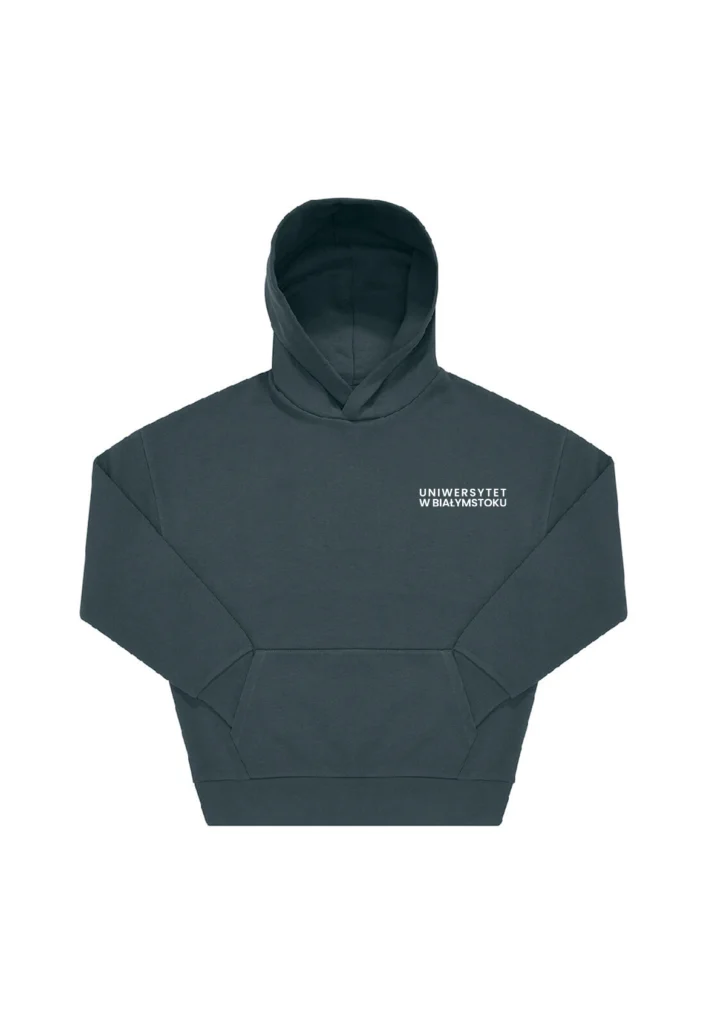 Bluza Boxy Premium z kapturem (Importowana) - Graffiti UwB – tył
