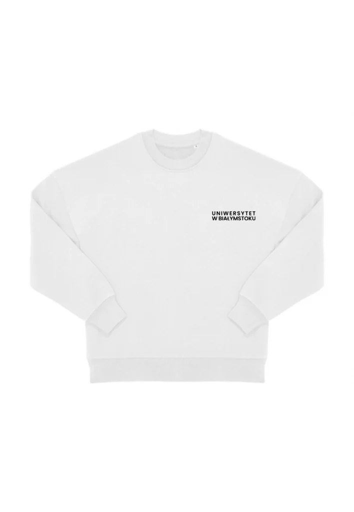 Bluza bez kaptura Premium Boxy (Importowana) - Graffiti UwB – tył