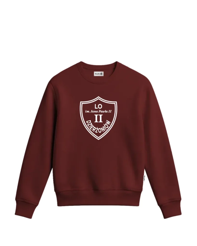 Bluza bez kaptura 2LO – tył