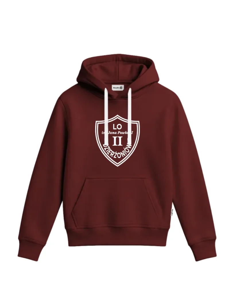 Bluza z kapturem 2LO – tył